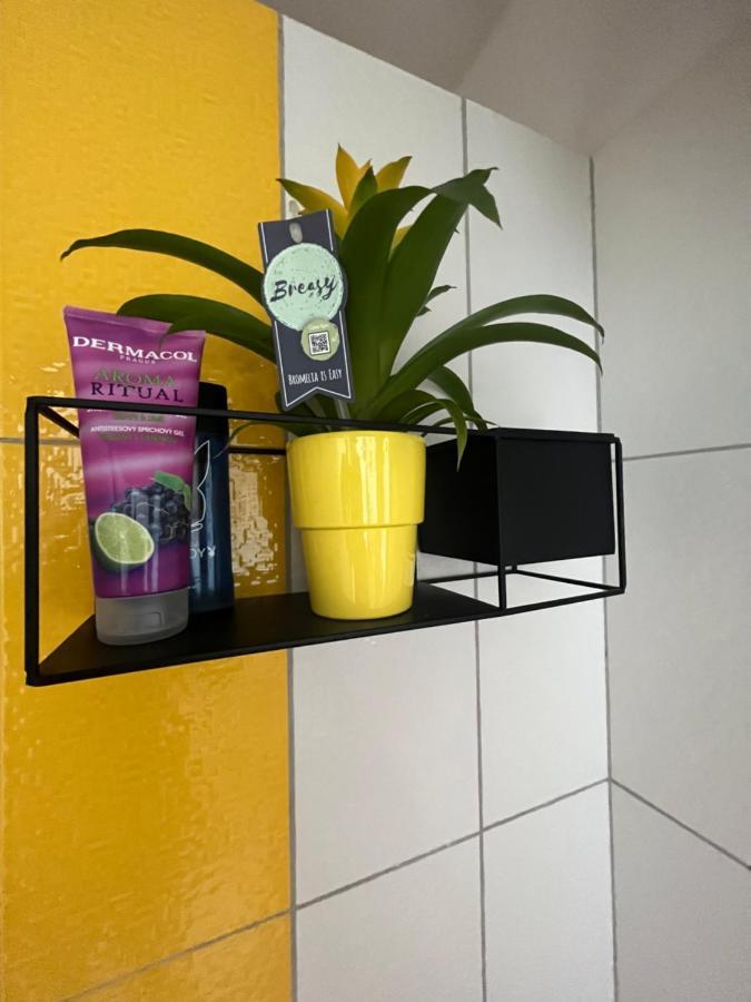 Monstera I Apartment Kolin Exterior photo