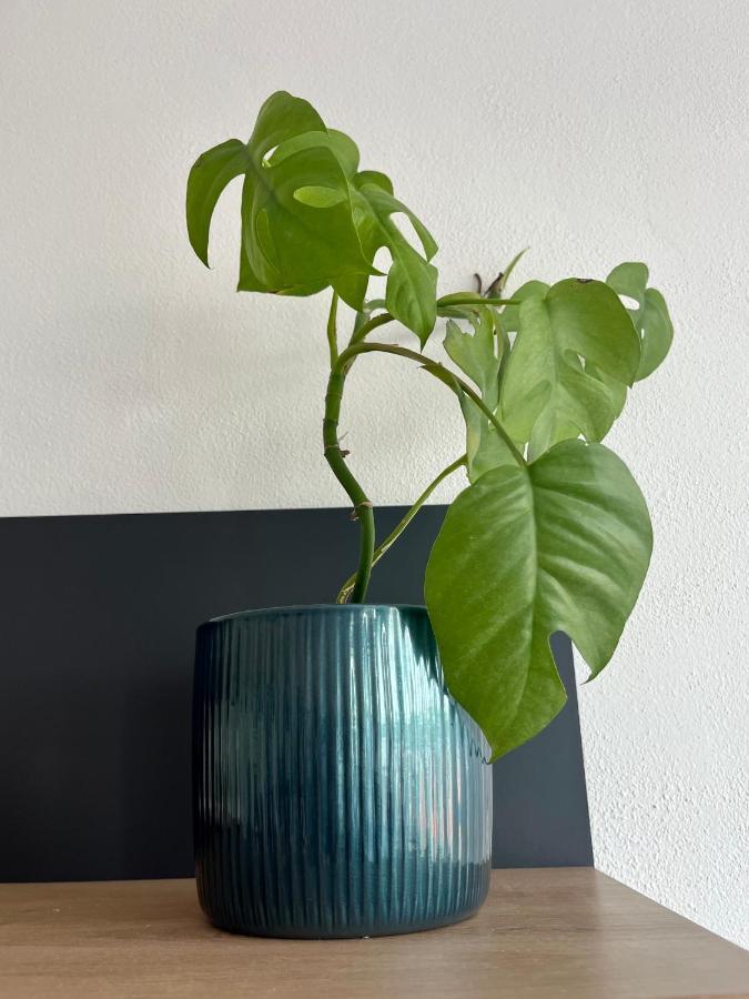 Monstera I Apartment Kolin Exterior photo